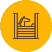 Fazendinha e Mini-Zoo - Barretos Country Resort