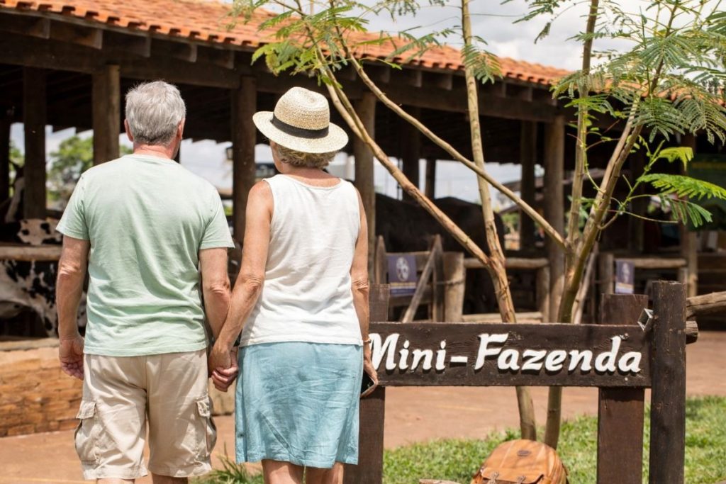 hotel fazenda com parque aquático sp: mini fazenda